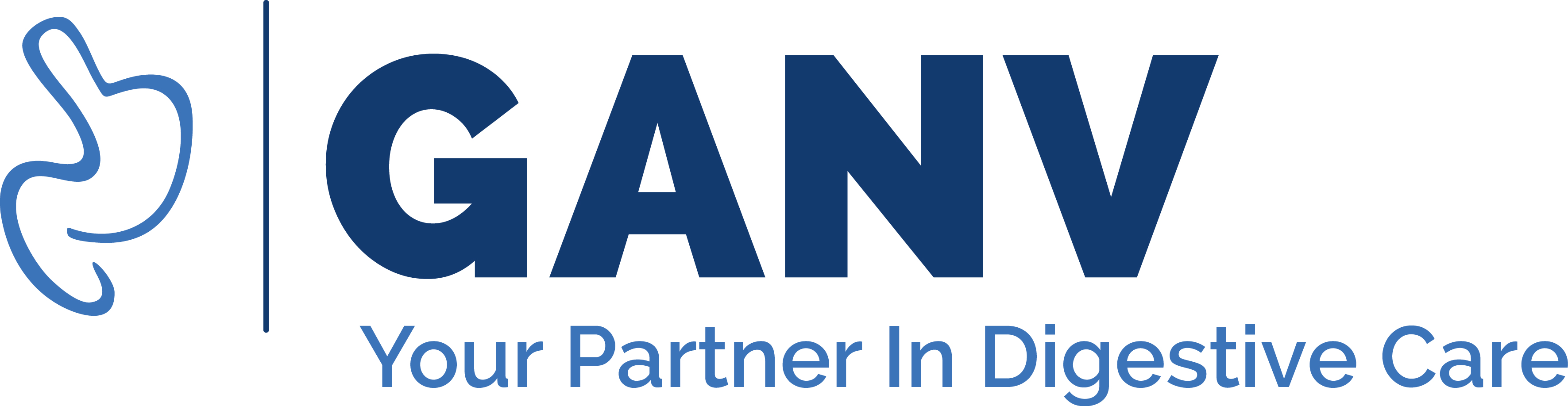 Mockup of GANV logo, includes a rough drawing of digestive track and a subtitle that reads "Your Partner in Digestive Care"