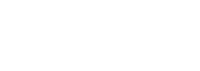 Onyx Ai Logo White