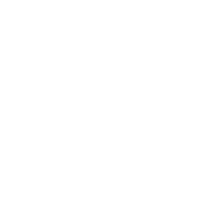 Silk Vision Logo