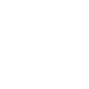 Old Bust Head Logo