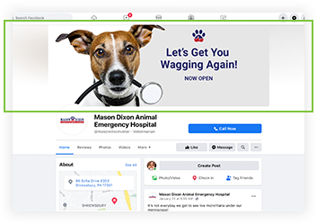 Facebook Page Visuals