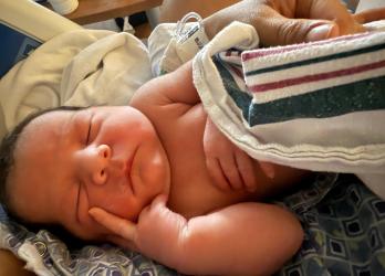 Image of the newest team member of IWC